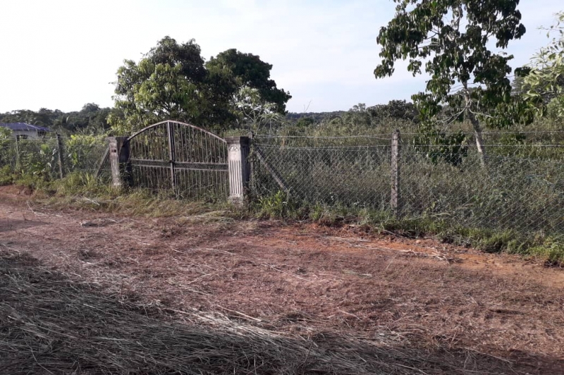 WhatsApp Image 2019-08-15 at 9.20.41 AM (1).jpeg